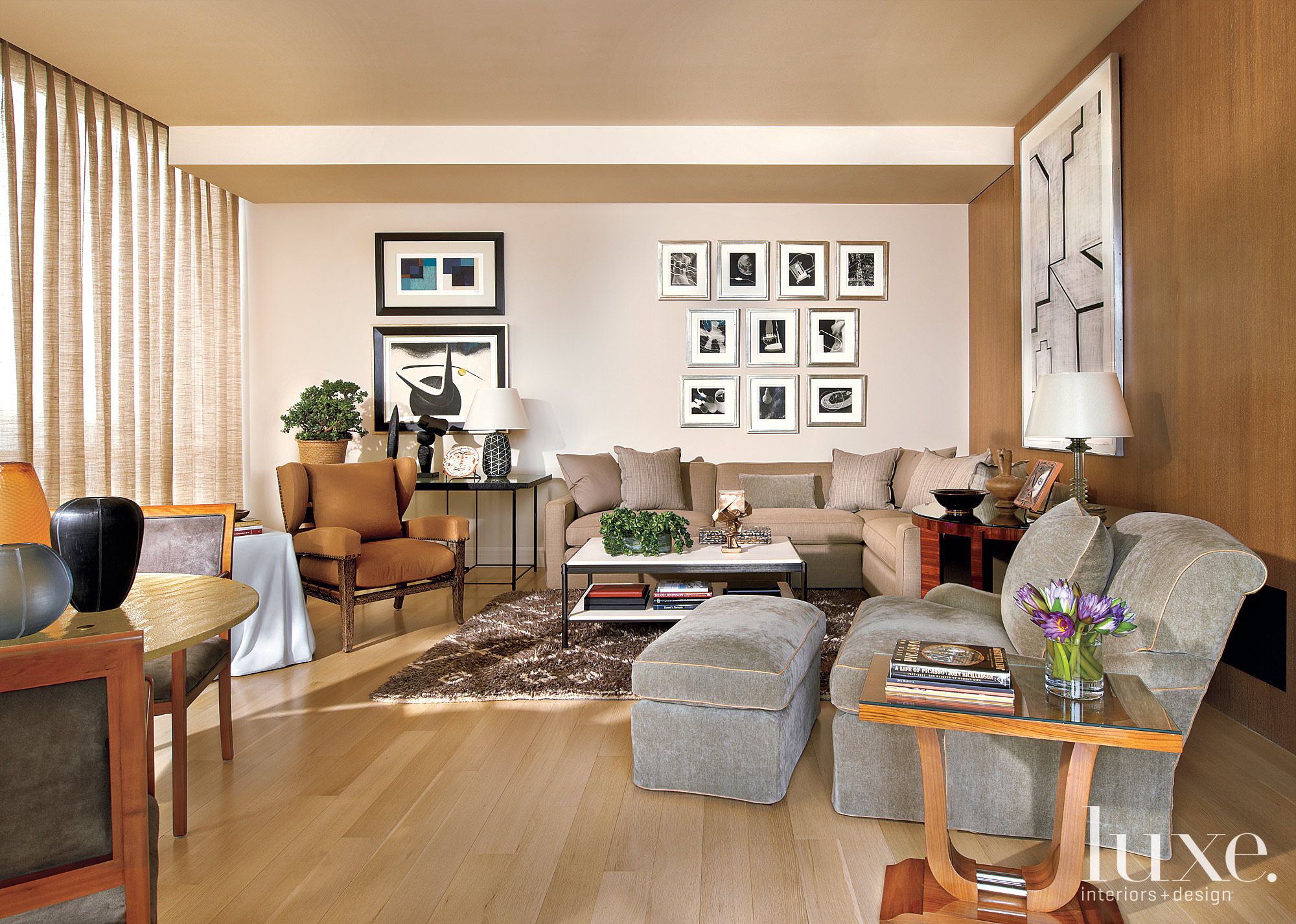 Contemporary Wood-Clad Living Room - Luxe Interiors + Design